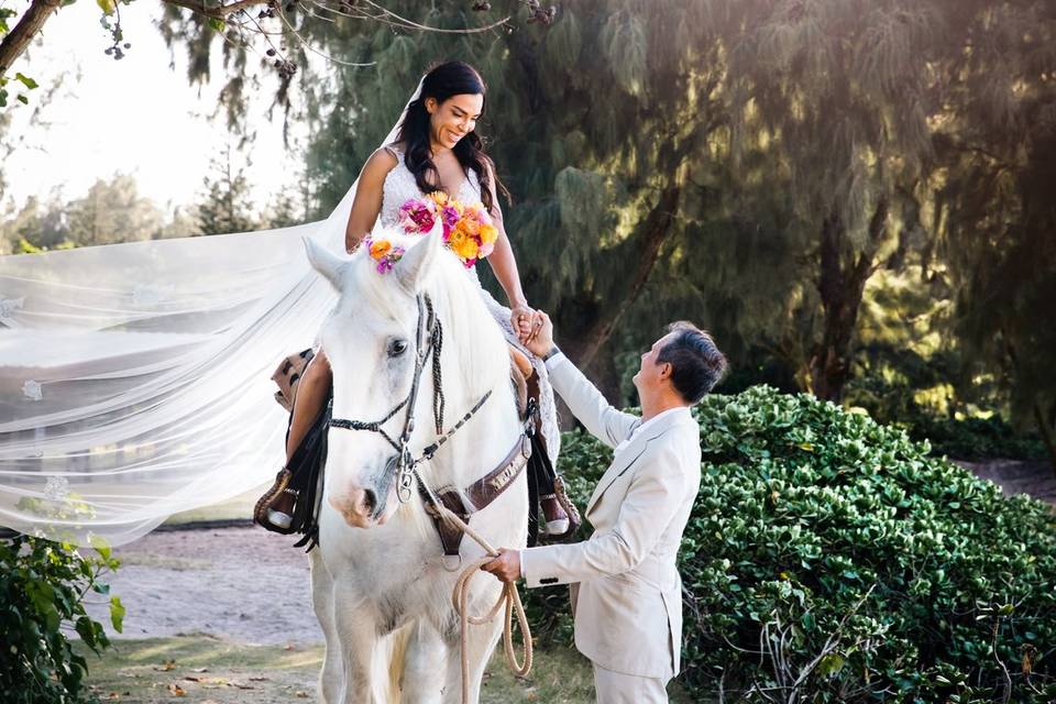 Turtle bay elopement