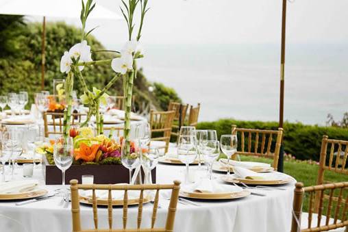 Table set-up with centerpiece