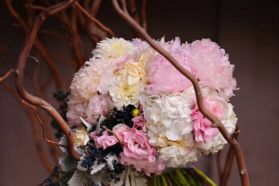 Elizabeth Taylor Frandsen Photography