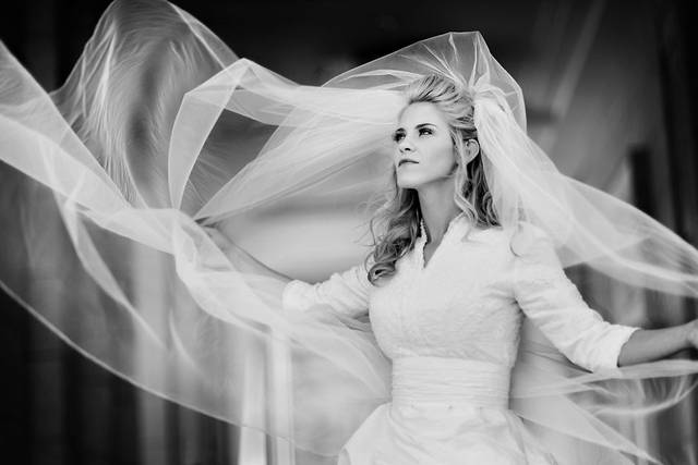 Elizabeth Taylor Frandsen Photography
