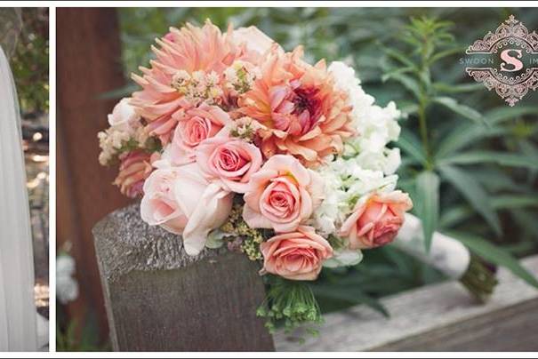 Blush and Ivory