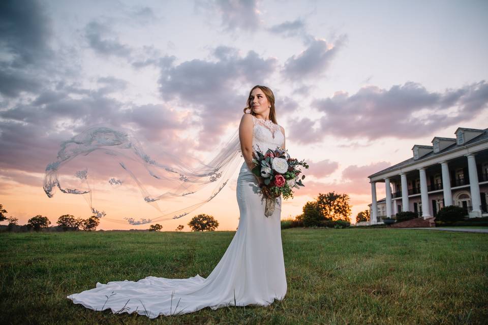 Sunset veil drop