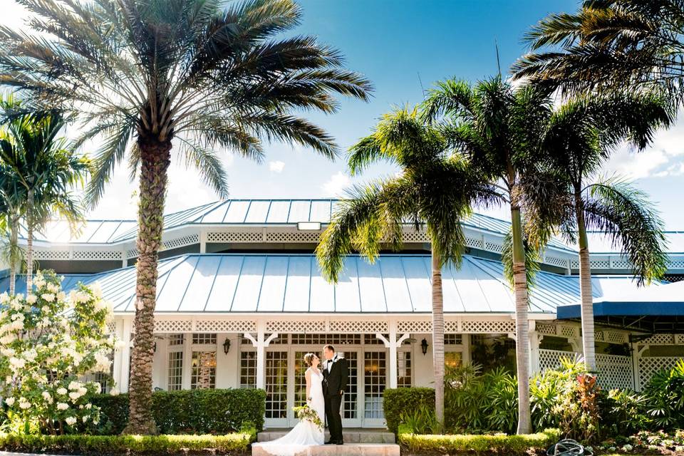 Under the Palms