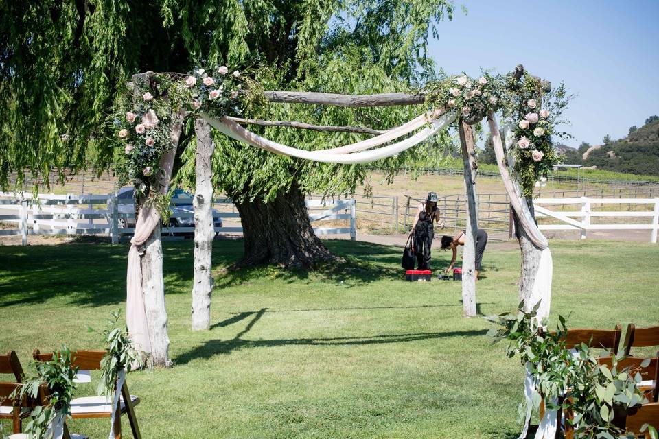 Wine barrel flower