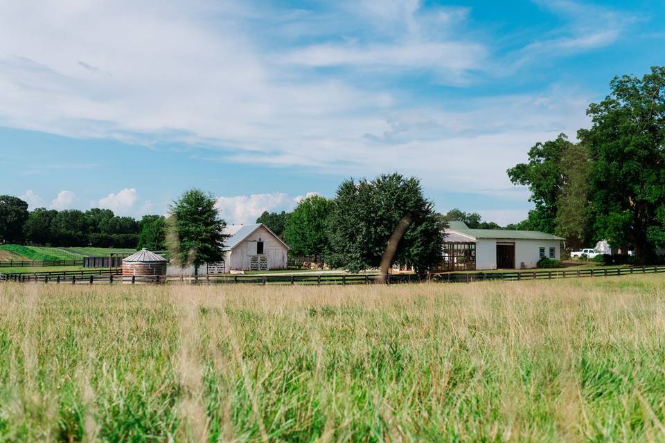 Field overlooking barns