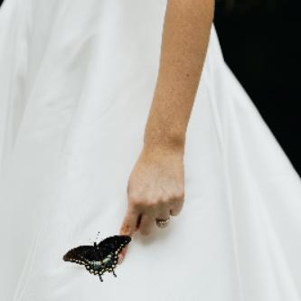 Willows Weddings