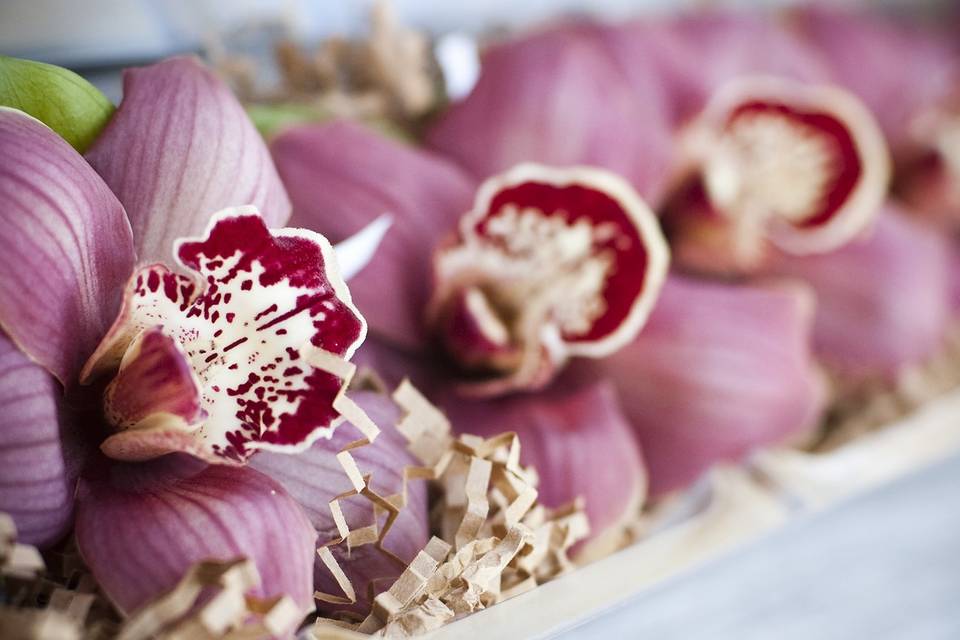 Cymbidium boutonnieres