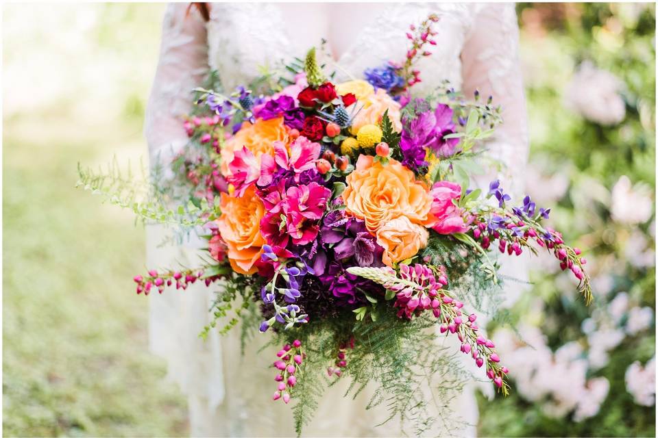 Romantic Ranunculus