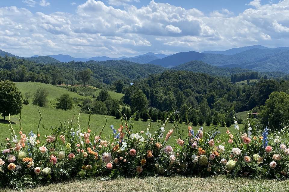 Blue Ridge Beauty