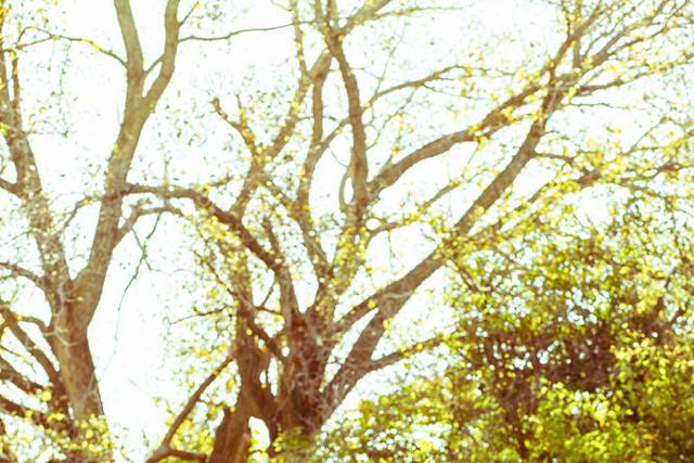 Seth Burkey Photography