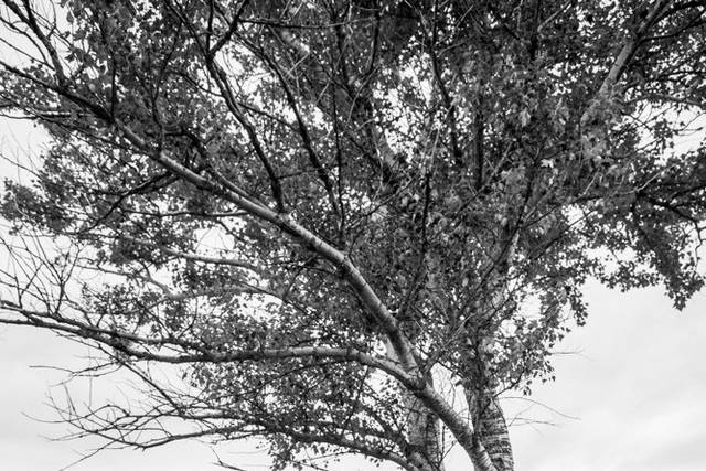Seth Burkey Photography