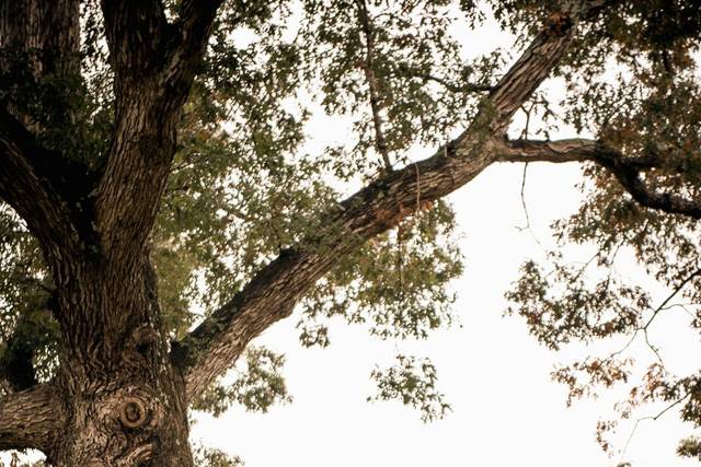 NC Wedding Photography