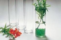 OpusGlassVases.com