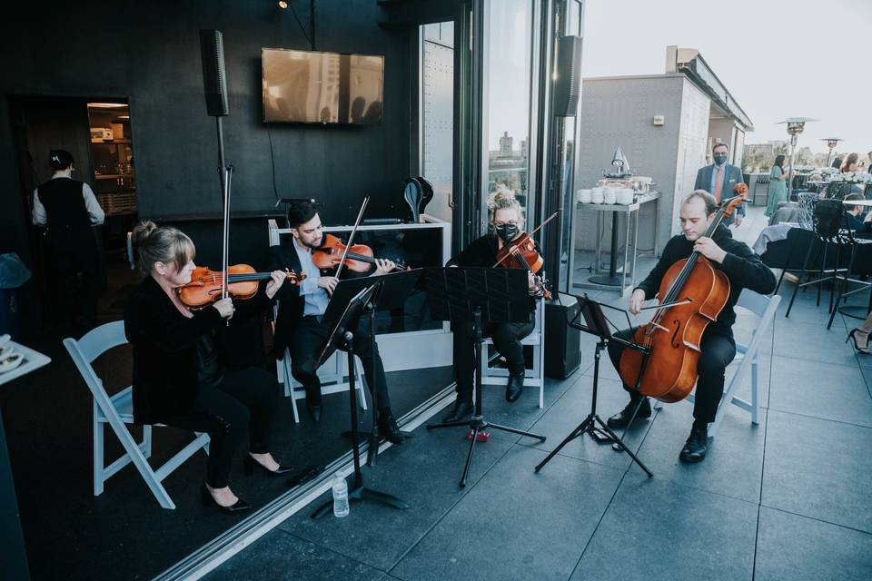 Ceremony Strings
