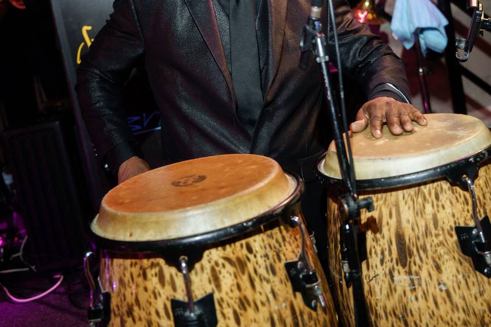 Jellyroll Performance