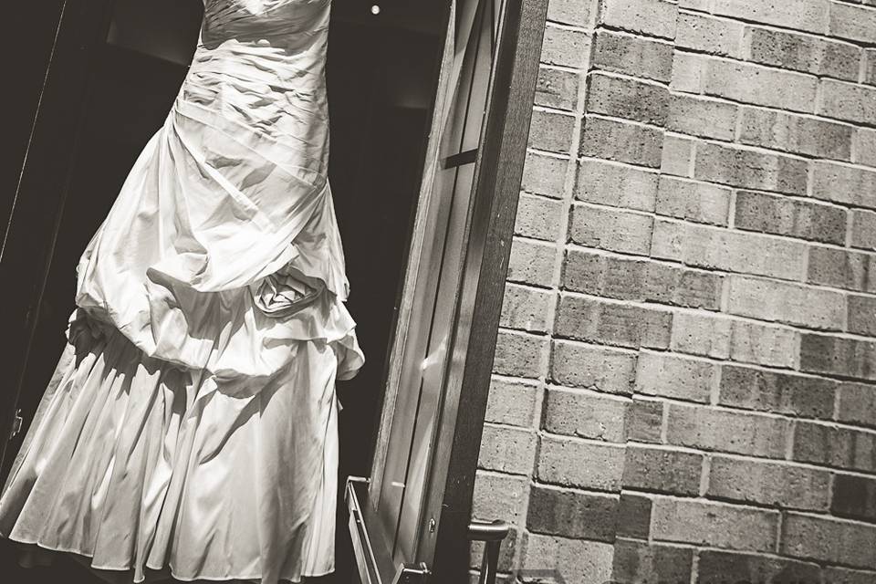Shannolynn Photography