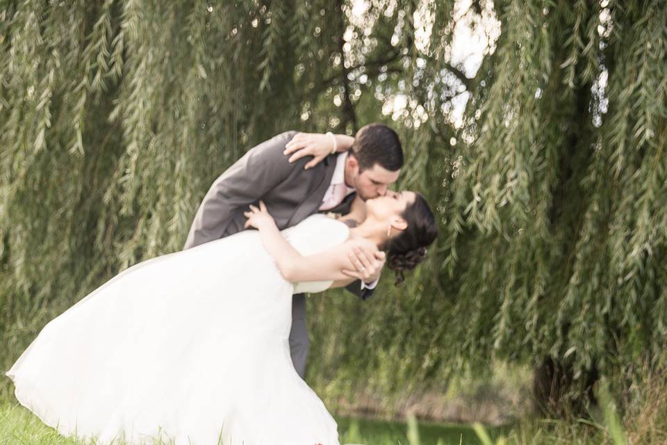 Shannolynn Photography