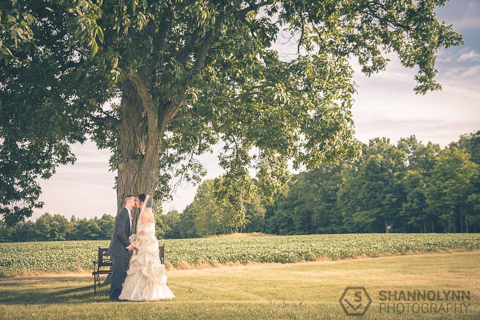 Shannolynn Photography