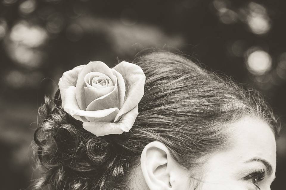 Shannolynn Photography