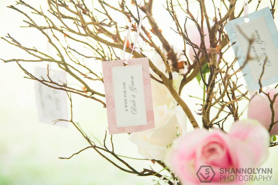 Shannolynn Photography