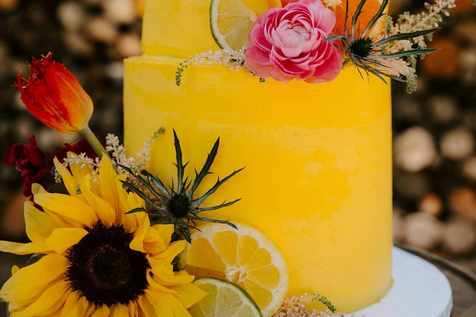 Bright elopement cake