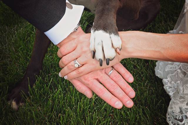 Furry friend - Out of the Ordinary Photography