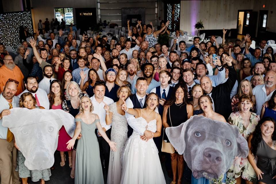 Bring your dogs to the wedding