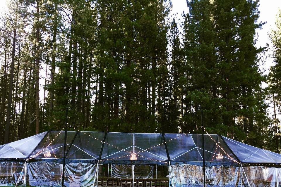 Clear tent reception