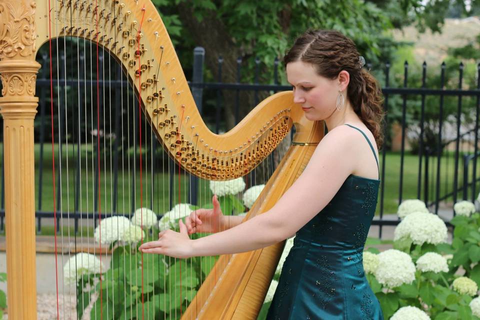 Katherine Kappelmann, Harpist