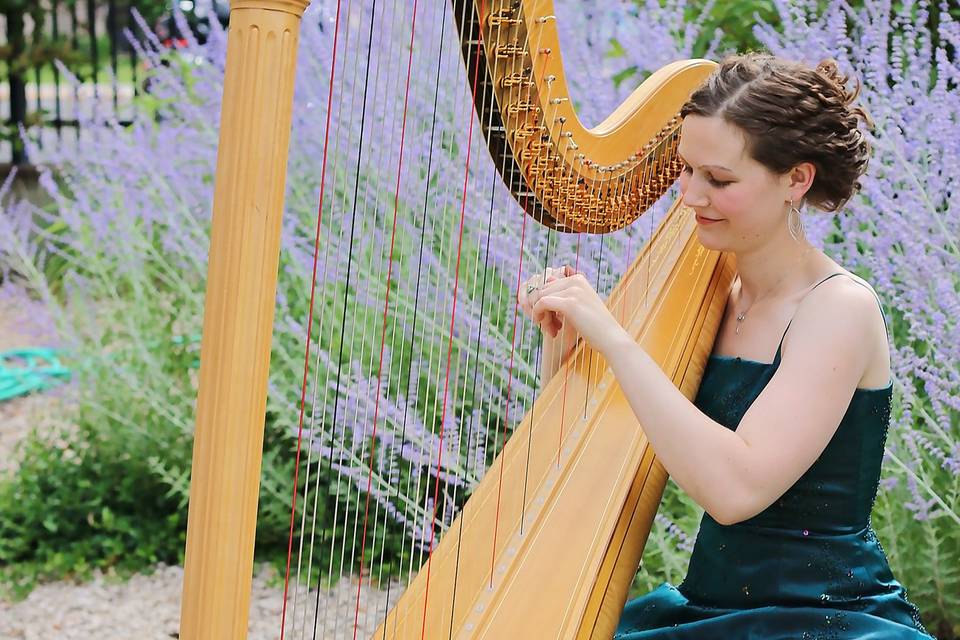 Katherine Kappelmann, Harpist