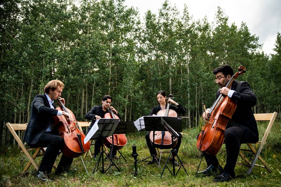 Cielo Quartet
