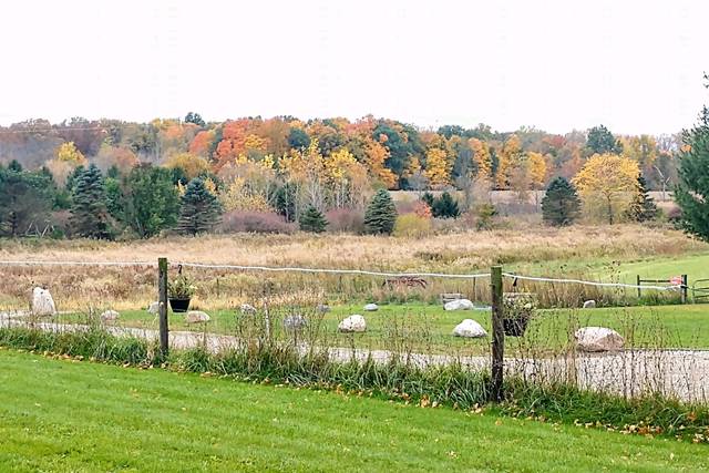 Fall view
