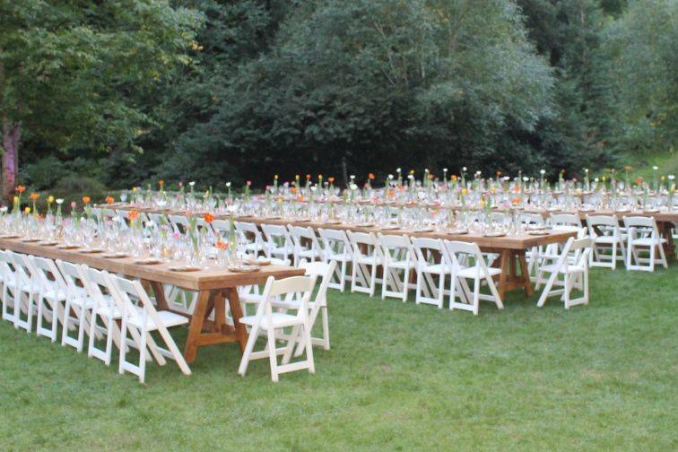 Long table setting