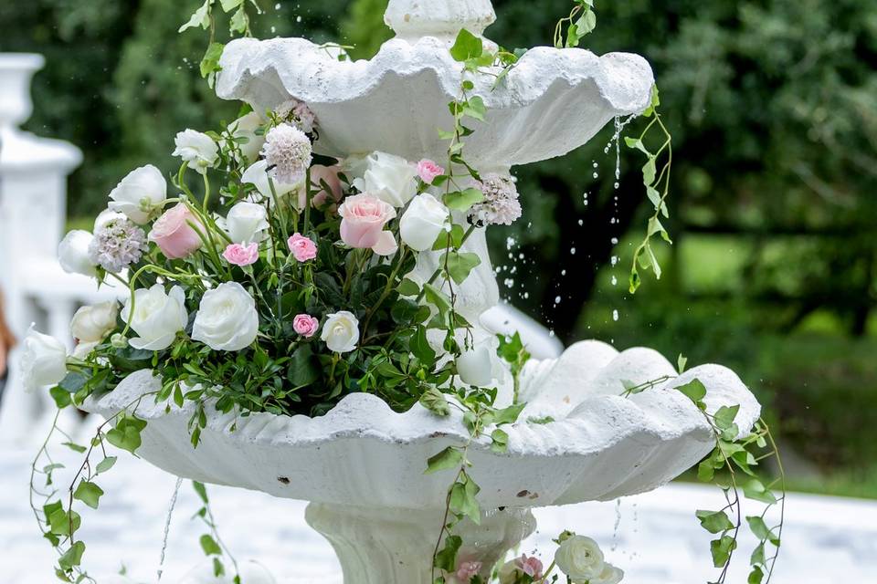 Water Fountain
