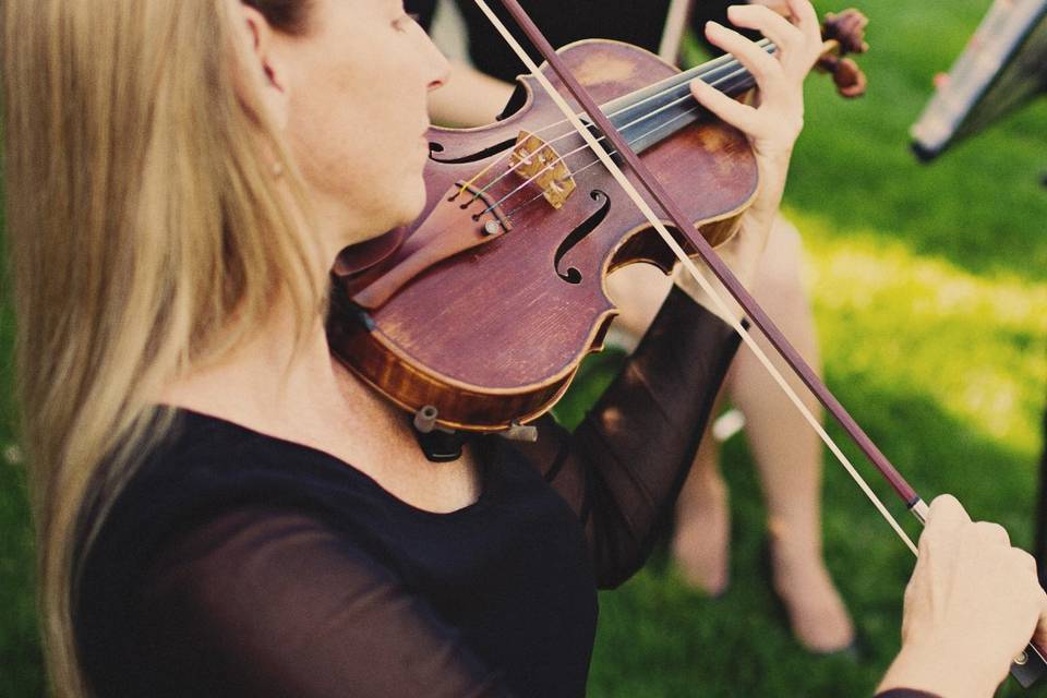 Silhouette String Ensemble