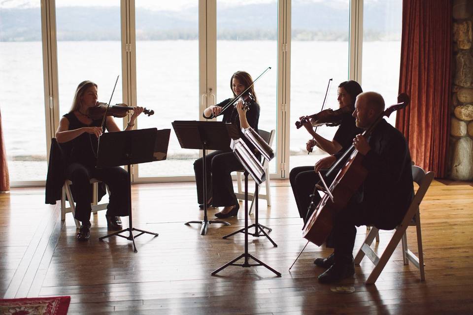 Silhouette String Ensemble