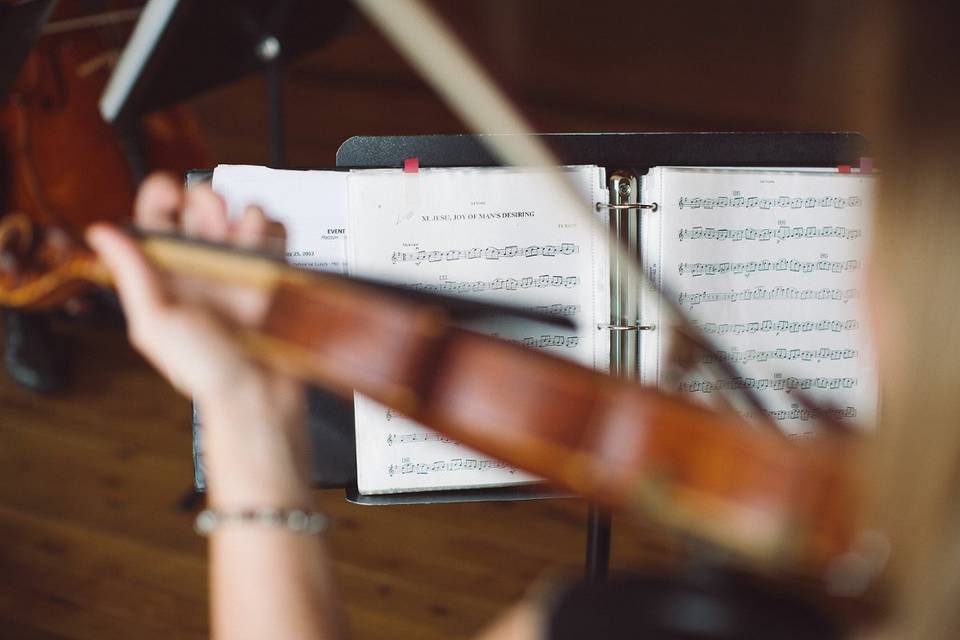 Silhouette String Ensemble