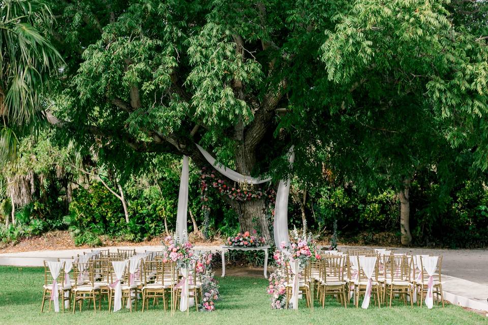 Tree ceremony