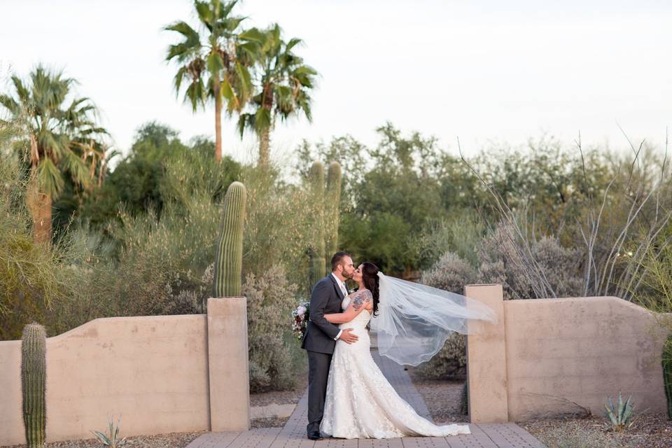 Oasis at Wild Horse Ranch