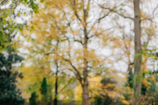 Riverwood Mansion Wedding