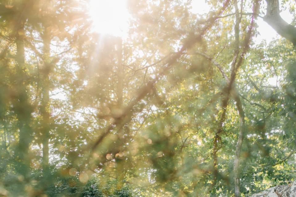 Chattanooga Wedding
