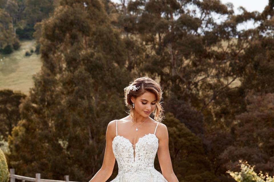 Sophia Tolli