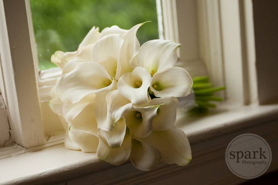 White flowers on the windowsill