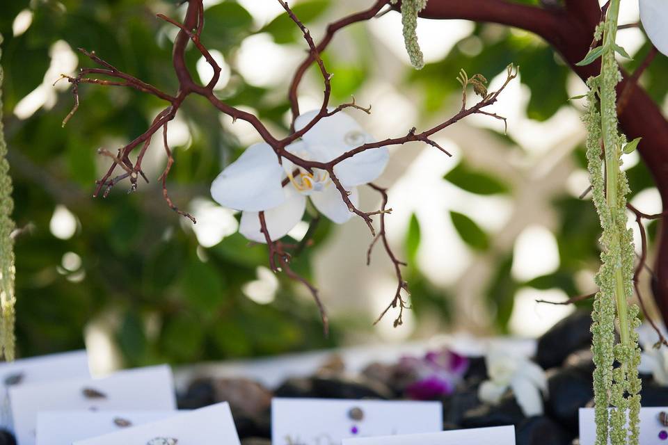 Wedding place cards