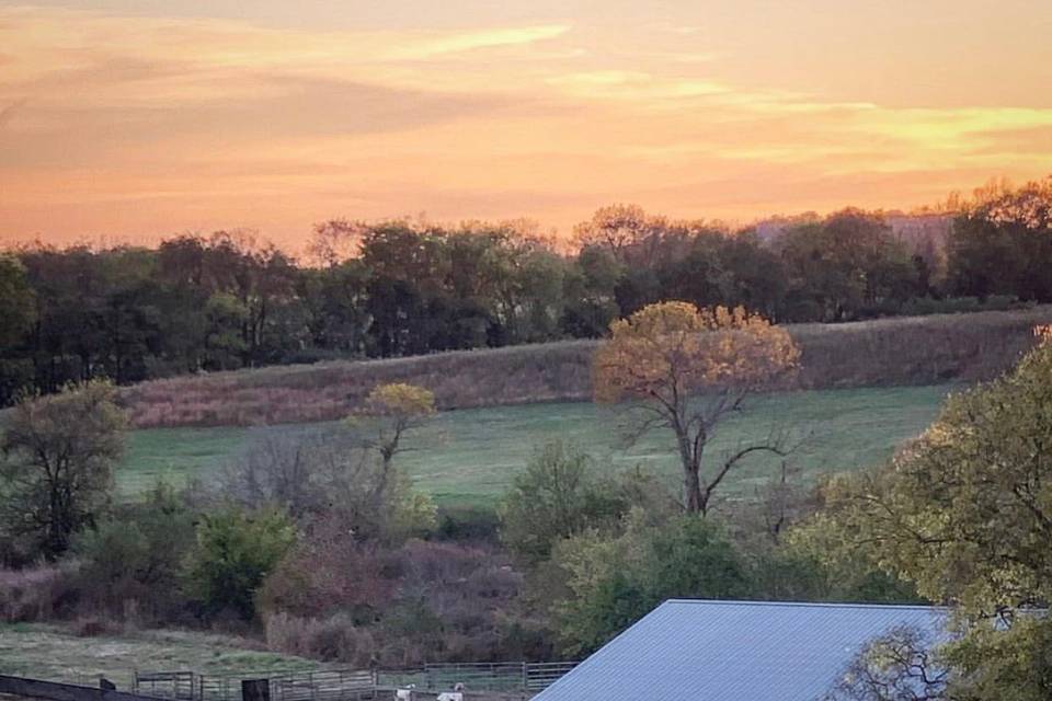 Sunset & Pasture Views