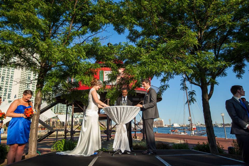 The Maryland Wedding Officiant