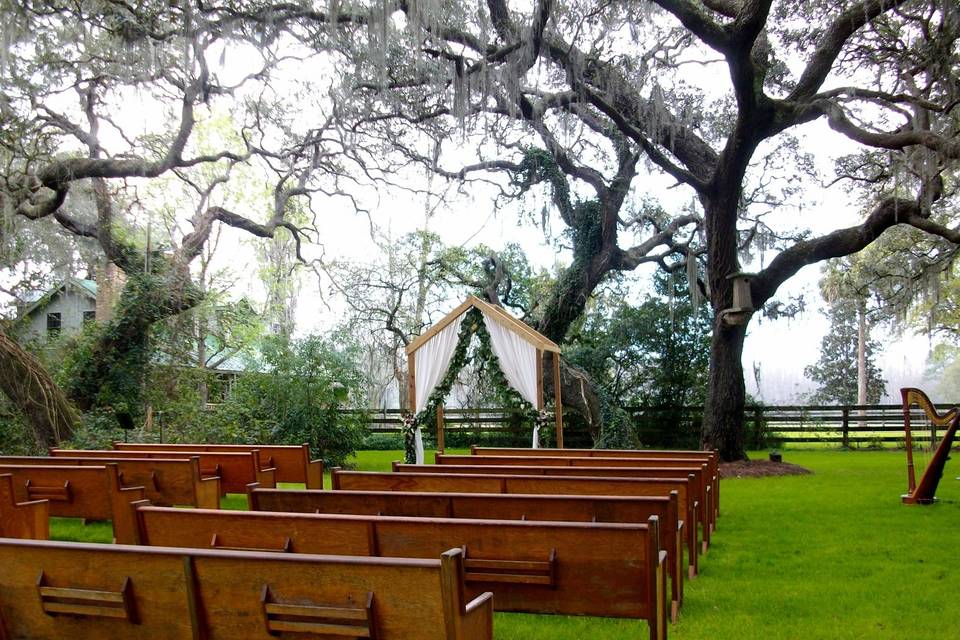 Isola Farms wedding harpist