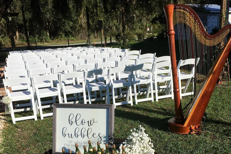 Ever After Farms wedding harp