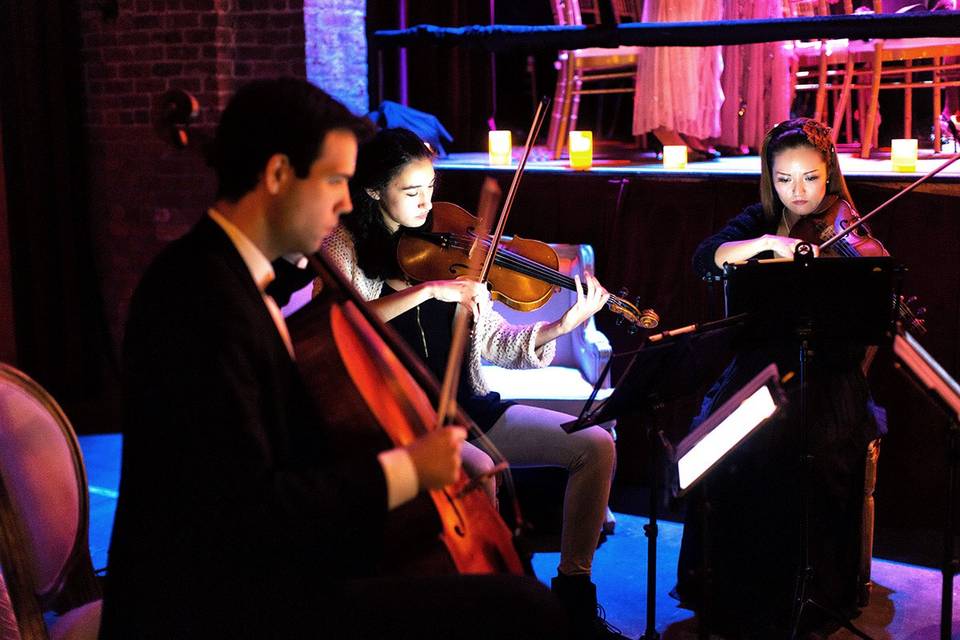String Quartet for Wedding