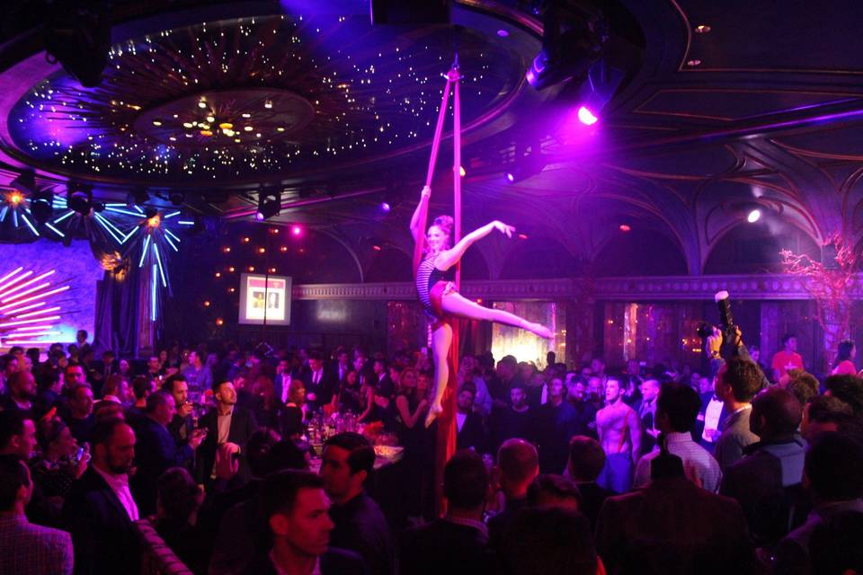 Aerialist on silks
